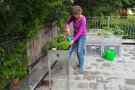 Frau bepflanzt Hochbeet