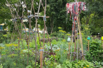 Gartenanlage