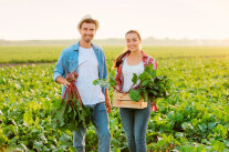 Ein Pärchen steht mit geerntetem rote Beete auf einem Feld..
