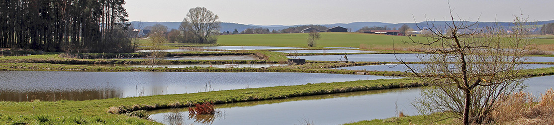 Panoramabild mit Teichen, Feldern, Wald und Dörfern im Hintergrund (Foto: Walter Tropper).