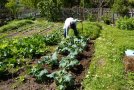 Frau beim Gartenarbeit