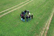 Personen stehen in einem Kreis auf einem Feld