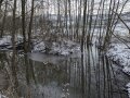 Wald als Gewässerschutz-Pufferzone zur landwirtschaftlichen Nutzfläche