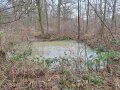 Mistelberg im Winter