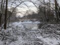 Periodisch austrocknende Kleingewässer-ein Paradies für Amphibien und Insekten