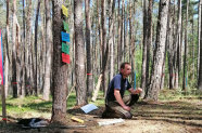 Förster kniet zwischen Waldkiefern