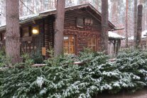 Holzhaus mit Christbäumen davor