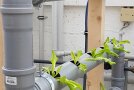 Salatpflanzen im Röhrensystem