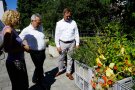 Personengruppe vor Gemüsebeet