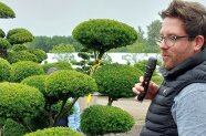 Ein Mann mit Mikrophon erklärt etwas über die Bäume