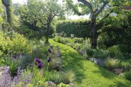 Garten mit blühenden Blumen und Bäumen