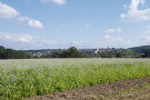 Feld, am Horizont Ortschaft