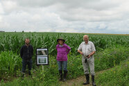 Drei Personen stehen im Feld