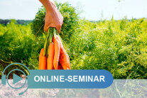 Hand hält Bund frisch geernteter Karotten auf Feld Schriftzug Online-Seminar